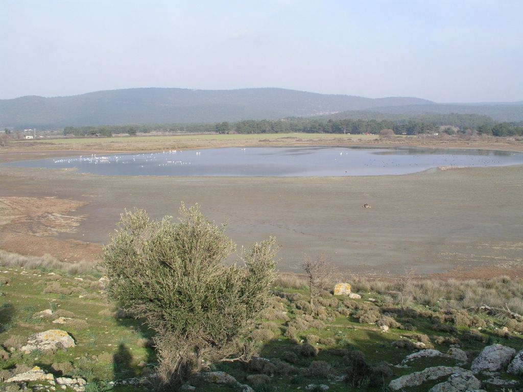 Σε Λέσβο και Πάρο επεκτείνεται το Δίκτυο Παρακολούθησης Υγροτόπων